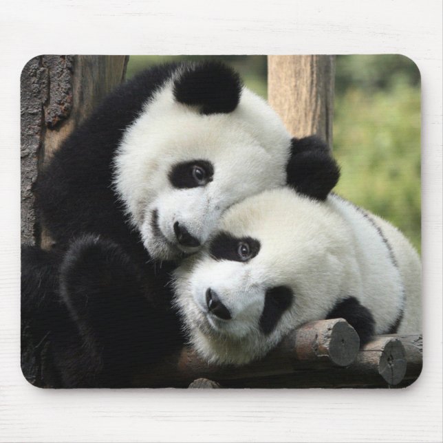 Mousepad Panda Bears (Frente)