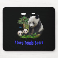 panda beras