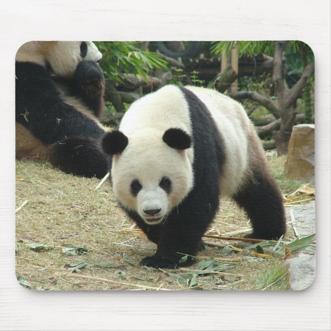 Mousepad Panda gigante (Frente)