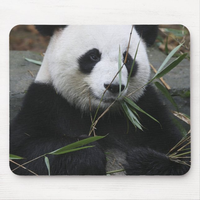 Mousepad Panda gigante (Frente)