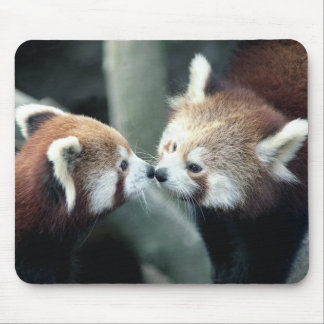 Mousepad Panda vermelha #1-Mousepad