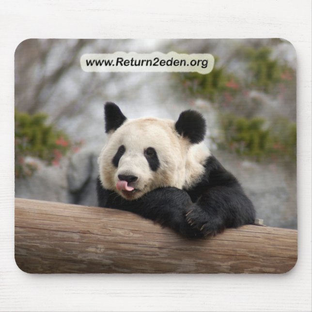 Mousepad PandaM021 (Frente)