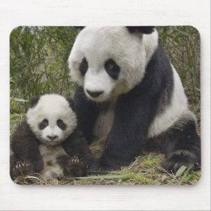 Mousepad pandas