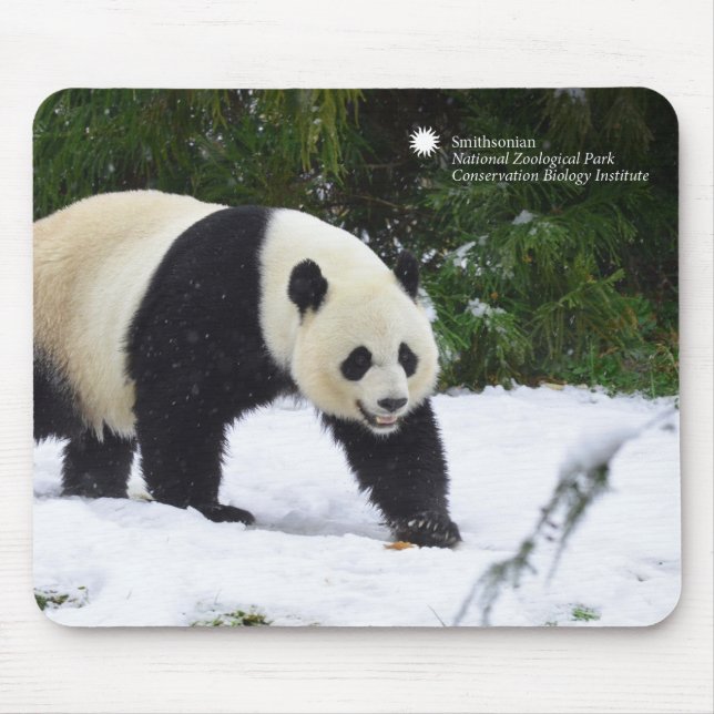 Mousepad Pandas gigantes de Smithsonian | na neve (Frente)