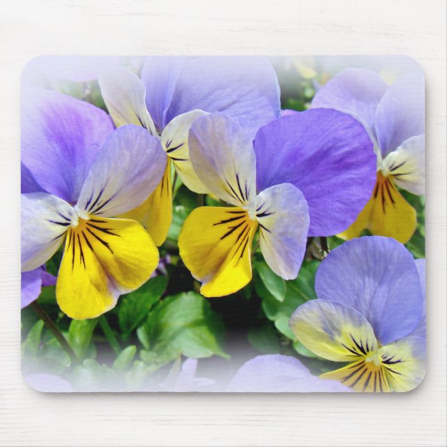 Mousepad Pansias - Roxo e Amarelo (Frente)