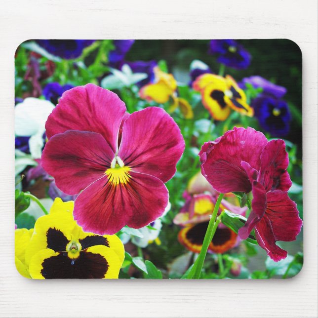 Mousepad Pansies coloridos (Frente)