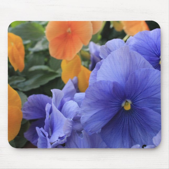 Mousepad Pansies roxos & alaranjados com a foto floral (Frente)