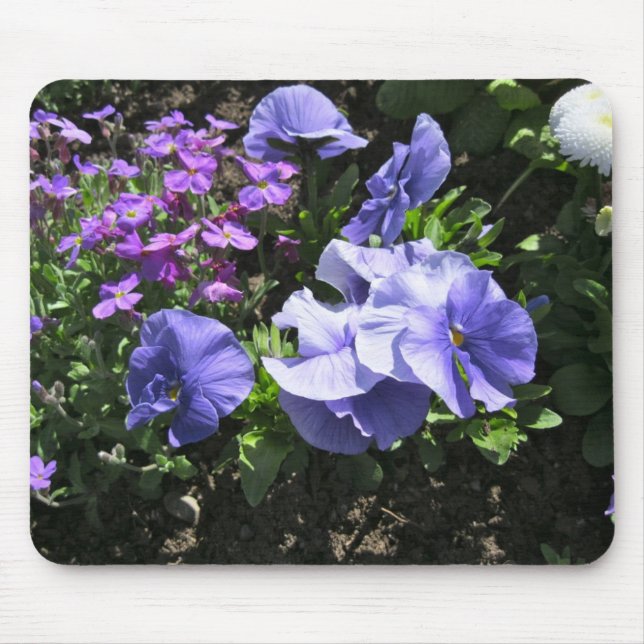 Mousepad Pansies roxos tímidos (Frente)
