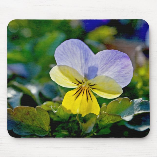 Mousepad Pansy Perfection (Frente)