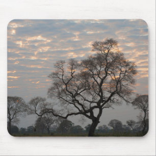 Mousepad Pantanal Wetlands América do Sul, Brasil