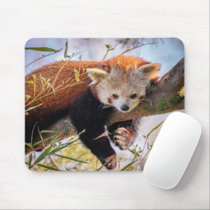 Mousepad Pantaninha vermelha preguiçosa