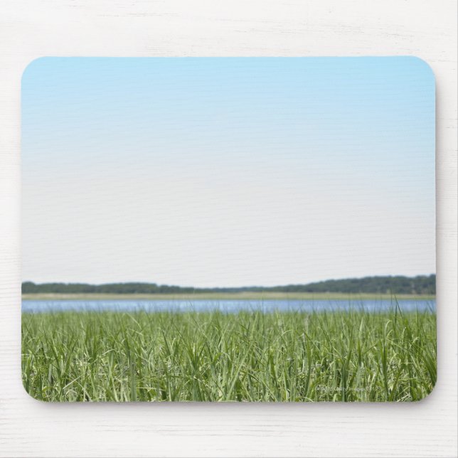 Mousepad Pântano de Cape Cod (Frente)