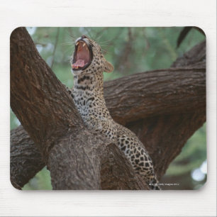 Mousepad Pantera