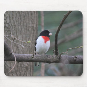 Mousepad Pão de rato Grosbeak de ressaca vermelha