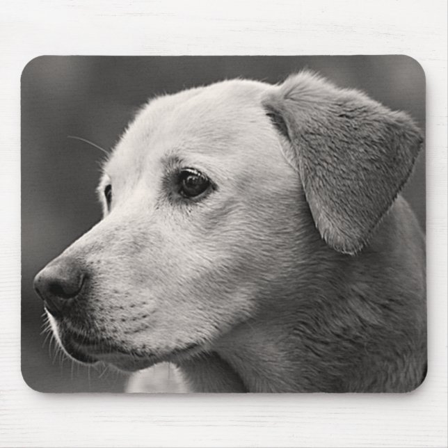 Mousepad Pão-Mão-Mão-de-Cão Amarelo Labrador Retriever (Frente)
