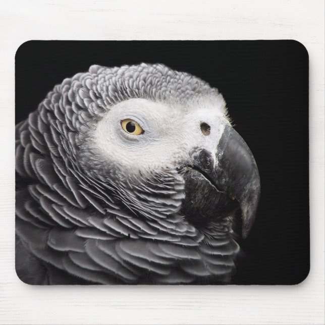 Mousepad Papagaio Cinzento Africano (Frente)