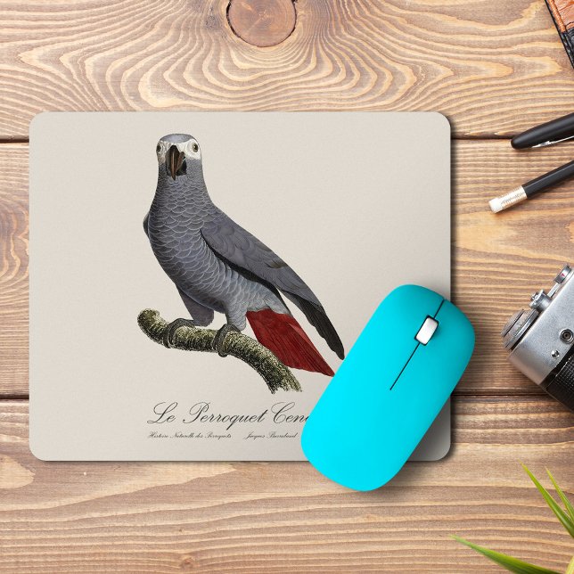 Mousepad Papagaio cinzento africano, Psittacus erithacus, v (Le Perroquet Cendre - 19th century illustration. Mouse Pad)