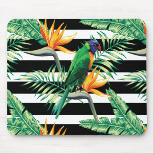 Mousepad Papagaio Colorido E Pássaro De Paraíso