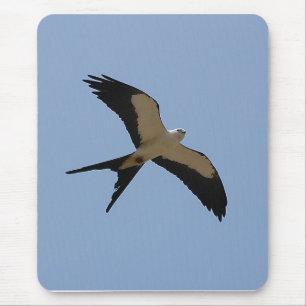 Mousepad Papagaio da cauda da andorinha
