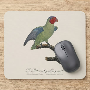 Mousepad Papagaio-de-bochecha-vermelha-macho, Geoffroyus ge