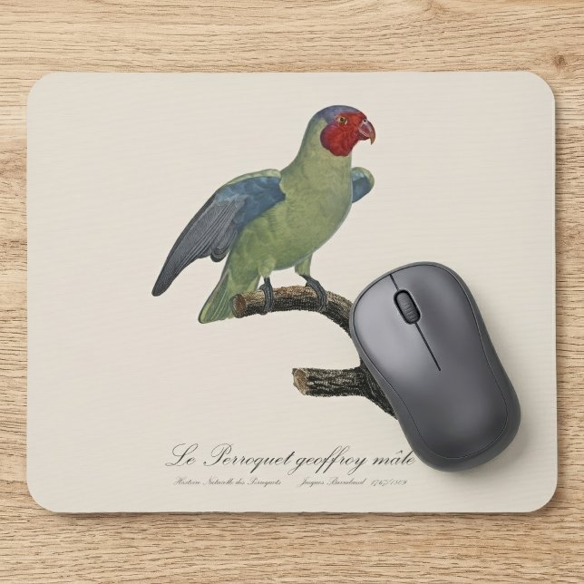 Mousepad Papagaio-de-bochecha-vermelha-macho, Geoffroyus ge (Male Red-Cheeked Parrot, Geoffroyus geoffroyi. Mouse Pad)