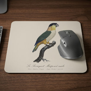Mousepad Papagaio-de-cabeça-preta-macho, Pionites Melanocep