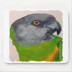 Mousepad - papagaio de Senegal