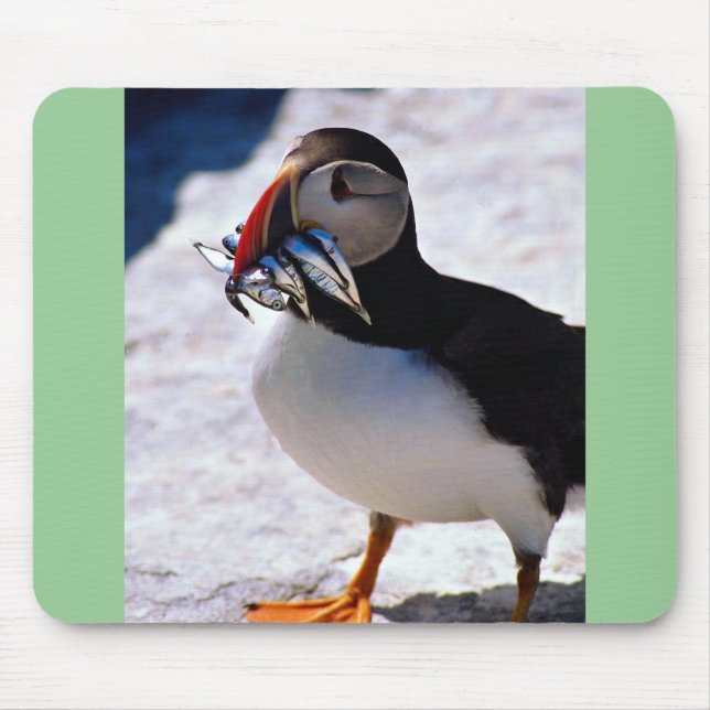 Mousepad Papagaio-do-mar (Frente)