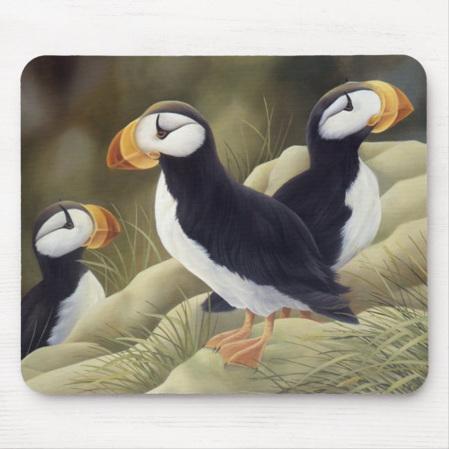 Mousepad Papagaio-do-mar (Frente)