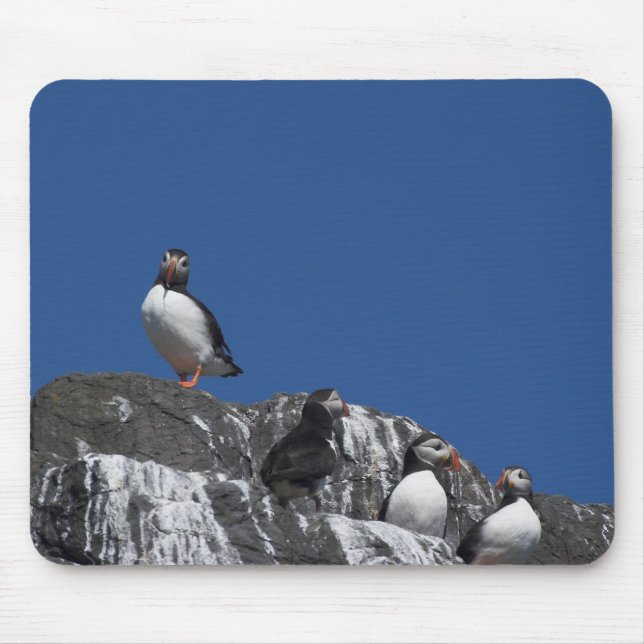 Mousepad Papagaio-do-mar (Frente)