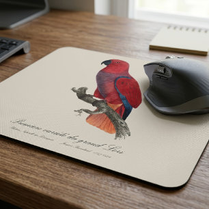 Mousepad Papagaio-do-moluco-de-vosmaer, Eclectus Roratus Vo