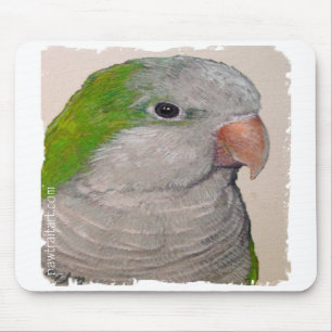Mousepad - papagaio do quacre