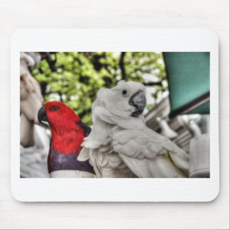 Mousepad Papagaio e Cockatoo
