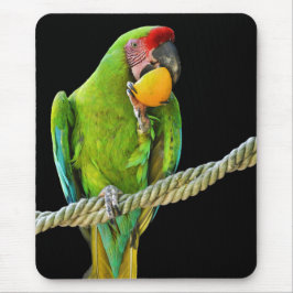 Mousepad Papagaio Verde Ara Militaris