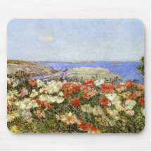 Papagaios selvagens nas ilhas dos calçados