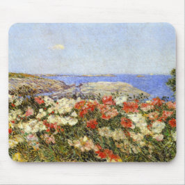 Mousepad Papagaios selvagens nas ilhas dos calçados