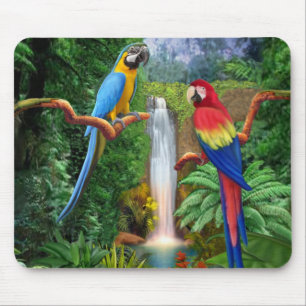 Mousepad Papagaios tropicais do Macaw