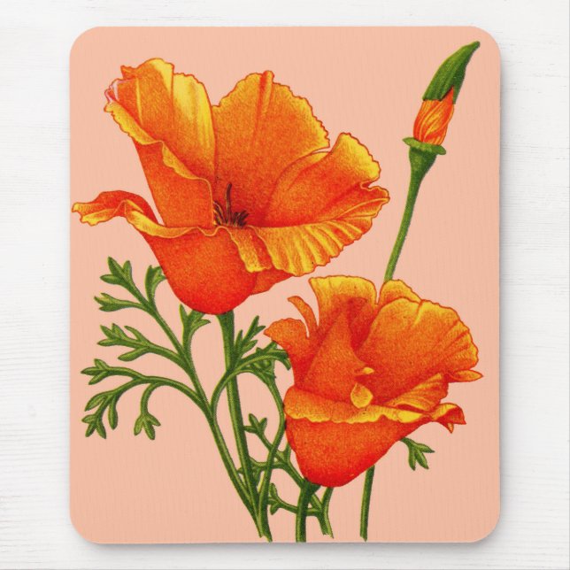 Mousepad Papanicolau da Califórnia (Frente)
