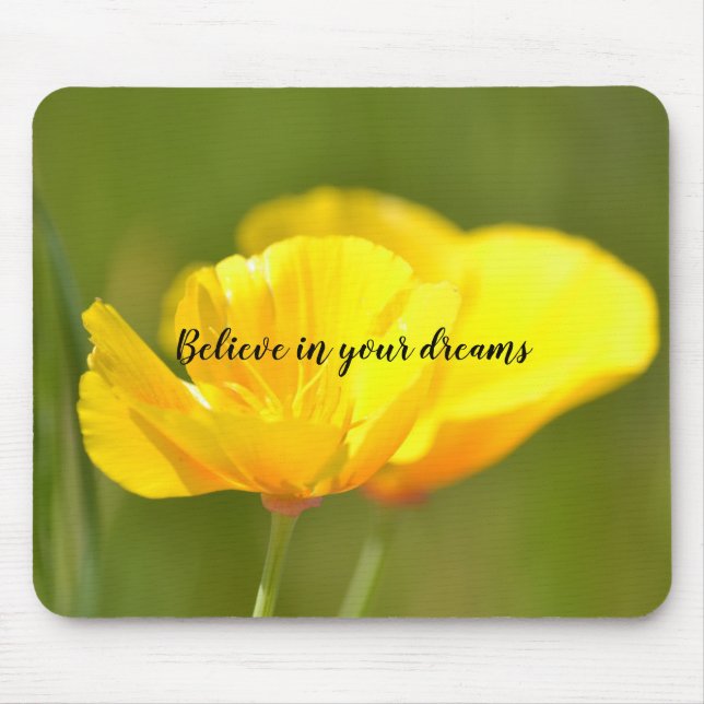 Mousepad Papas Laranja (Frente)