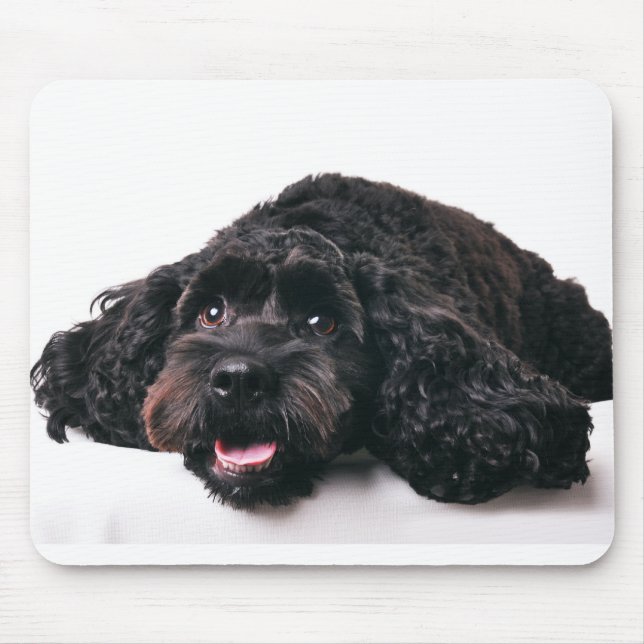 Mousepad papelão de mistura de poodle com cachorrinho (Frente)