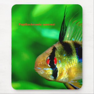 Mousepad Papiliochromis ramireziの マ ウ ス パ ド