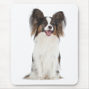 Mousepad Papillon Puppy Mãe Cachorro Cachorro Cachorro Cach