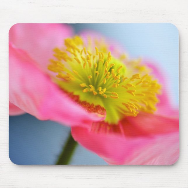 Mousepad Papoila cor-de-rosa (Frente)