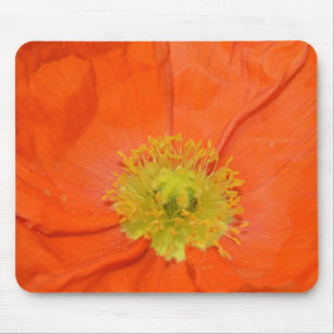 Mousepad Papoila de Islândia alaranjada III