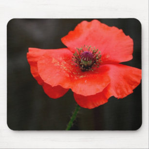 Mousepad Papoila vermelha brilhante