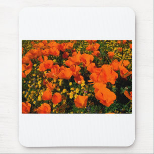 Mousepad Papoilas de Califórnia