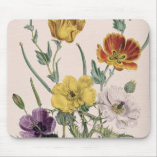 Mousepad Papoilas e anêmonas