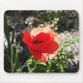 Mousepad Papoula Vermelha