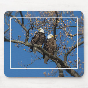 Mousepad Par Bald Eagle