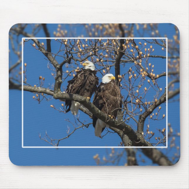 Mousepad Par Bald Eagle (Frente)